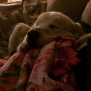 Meet your Posher, Joni